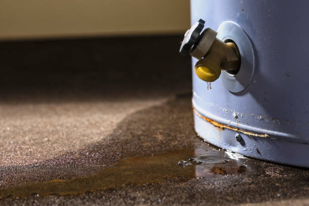 Best Mold removal after water damage  in Syracuse, NY