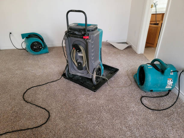 Best Basement water damage restoration  in Syracuse, NY