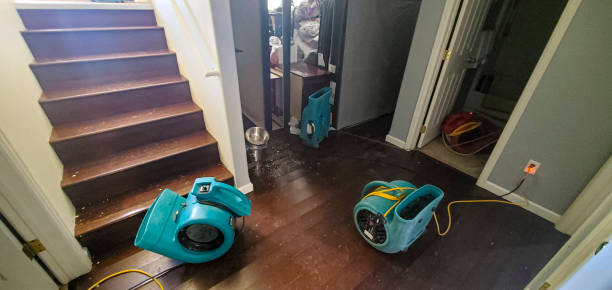 Best Water damage cleanup near me  in Syracuse, NY