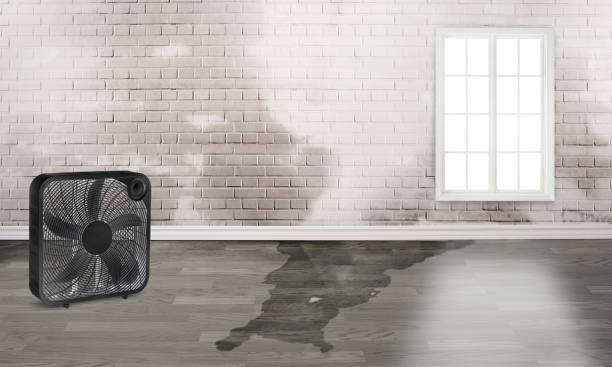  Syracuse, NY Water damage restoration Pros