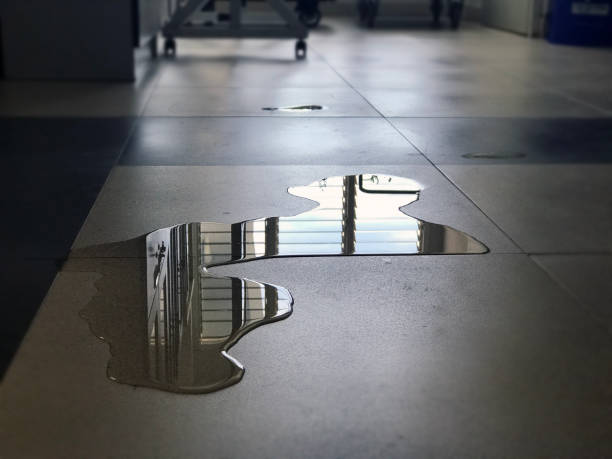 Best 24/7 water damage repair  in Syracuse, NY