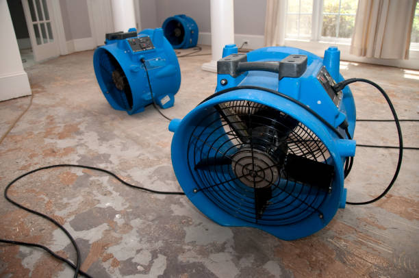 Carpet water damage restoration in Syracuse, NY