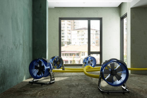 Best Residential water damage restoration  in Syracuse, NY