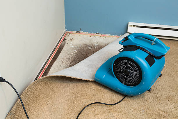 Best Water damage mitigation services  in Syracuse, NY